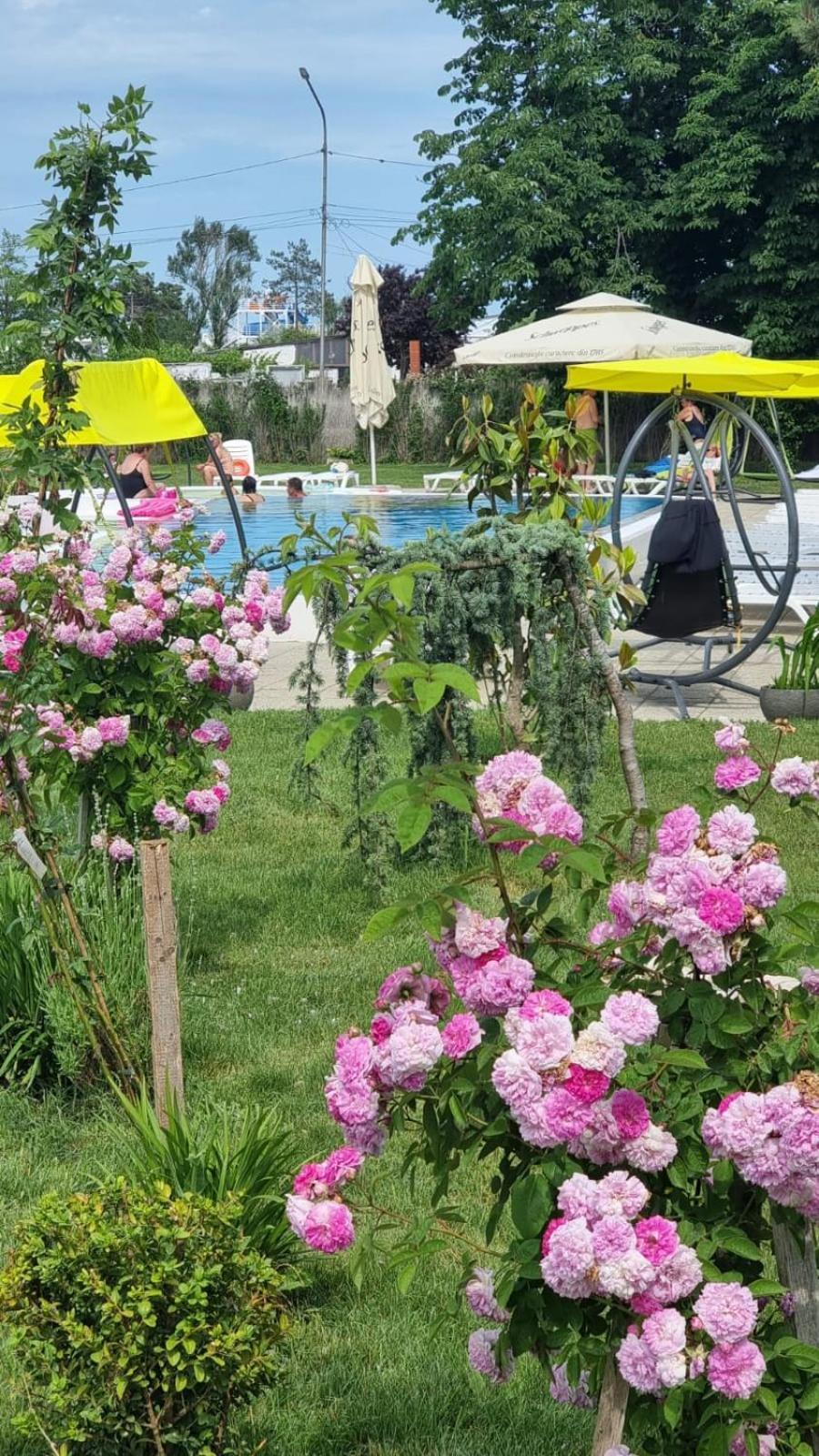 Hotel Iulia Resort Venus Exteriér fotografie